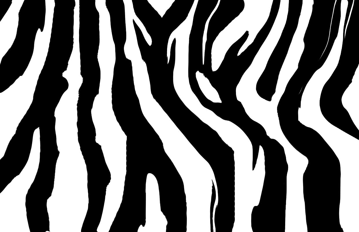 zebra stripes clipart free - photo #48